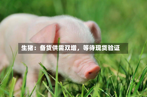 生猪：备货供需双增，等待现货验证-第2张图片