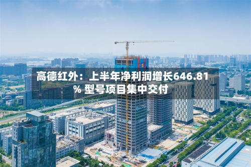 高德红外:上半年净利润增长646.81% 型号项目集中交付-第3张图片