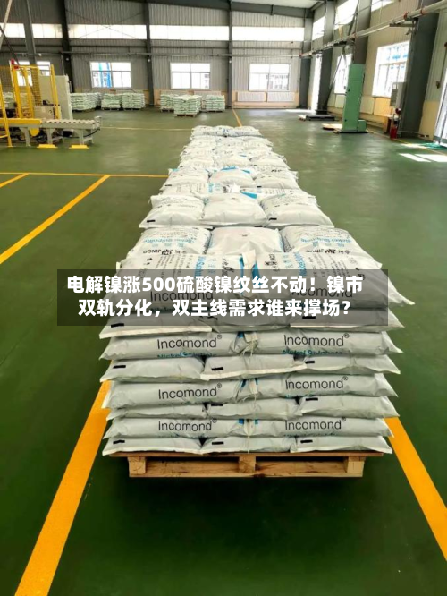 电解镍涨500硫酸镍纹丝不动！镍市双轨分化	，双主线需求谁来撑场？-第1张图片