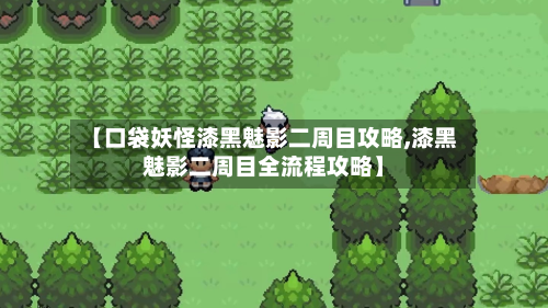 【口袋妖怪漆黑魅影二周目攻略,漆黑魅影二周目全流程攻略】-第2张图片