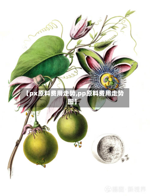 【px原料费用走势,pp原料费用走势图】-第3张图片