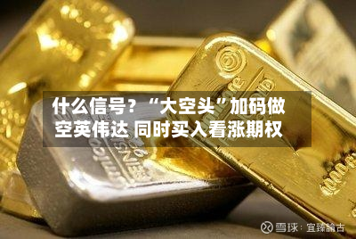 什么信号？“大空头”加码做空英伟达 同时买入看涨期权-第2张图片