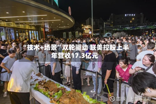 “技术+场景”双轮驱动 联美控股上半年营收17.3亿元-第3张图片
