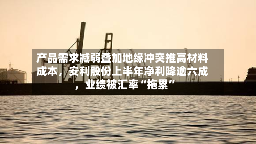 产品需求减弱叠加地缘冲突推高材料成本,安利股份上半年净利降逾六成,业绩被汇率“拖累”