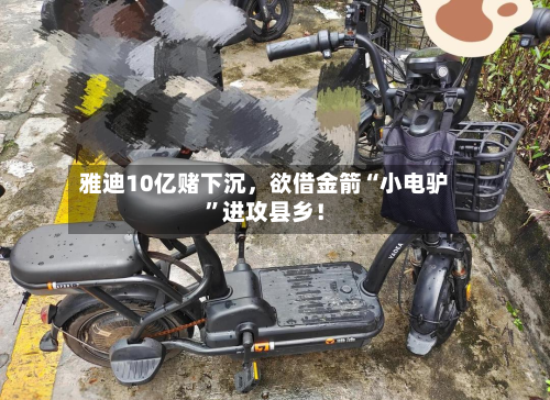 雅迪10亿赌下沉，欲借金箭“小电驴	”进攻县乡！-第2张图片