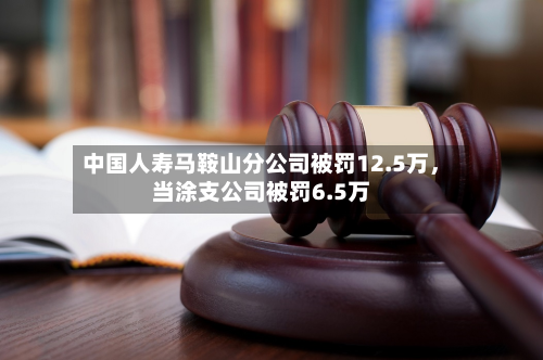 中国人寿马鞍山分公司被罚12.5万，当涂支公司被罚6.5万-第2张图片