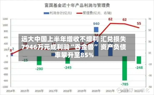远大中国上半年增收不增利 汇兑损失7946万元成利润“吞金兽” 资产负债率攀升至85%-第2张图片