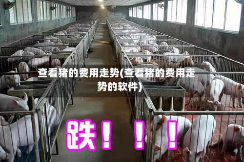 查看猪的费用走势(查看猪的费用走势的软件)