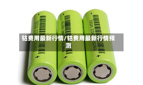 钴费用最新行情/钴费用最新行情预测-第2张图片