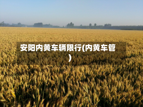 安阳内黄车辆限行(内黄车管)