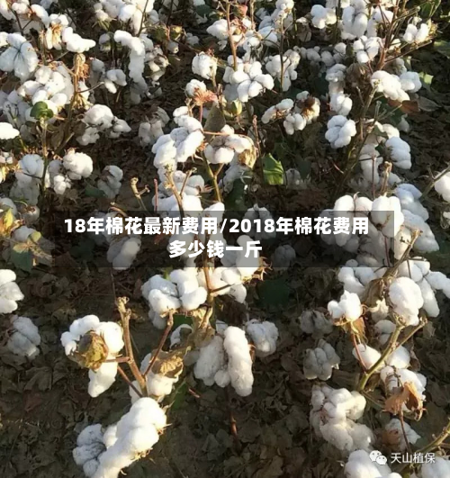 18年棉花最新费用/2018年棉花费用多少钱一斤