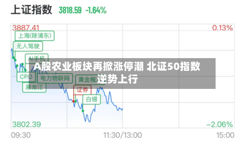 A股农业板块再掀涨停潮 北证50指数逆势上行-第2张图片