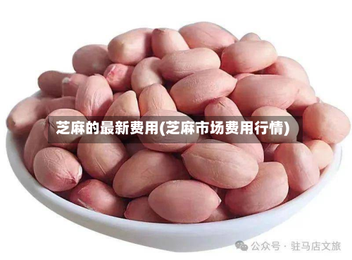 芝麻的最新费用(芝麻市场费用行情)-第2张图片