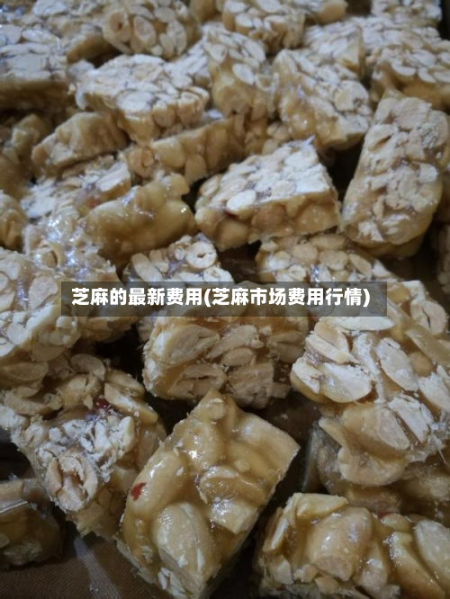 芝麻的最新费用(芝麻市场费用行情)