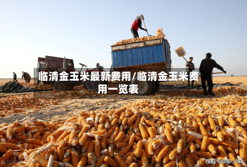 临清金玉米最新费用/临清金玉米费用一览表