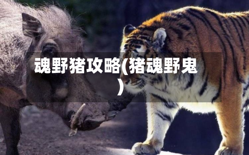 魂野猪攻略(猪魂野鬼)-第3张图片