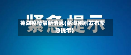 芜湖疫情最新消息(芜湖刚刚发布紧急提示)-第2张图片