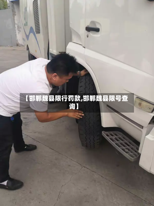 【邯郸魏县限行罚款,邯郸魏县限号查询】-第2张图片
