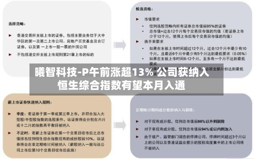 曦智科技-P午前涨超13% 公司获纳入恒生综合指数有望本月入通-第3张图片