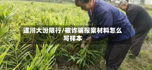 遂川大汾限行/被诈骗报案材料怎么写样本