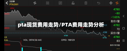 pta现货费用走势/PTA费用走势分析