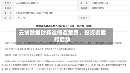 云创数据财务造假遭重罚，投资者索赔启动-第2张图片