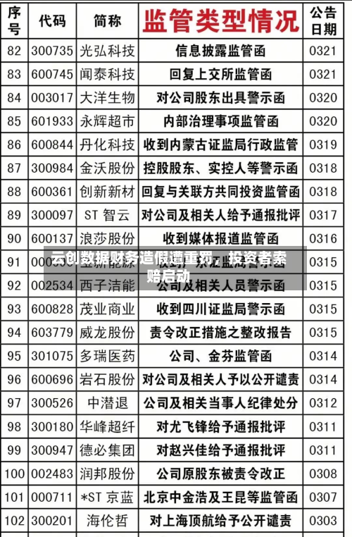 云创数据财务造假遭重罚，投资者索赔启动-第3张图片