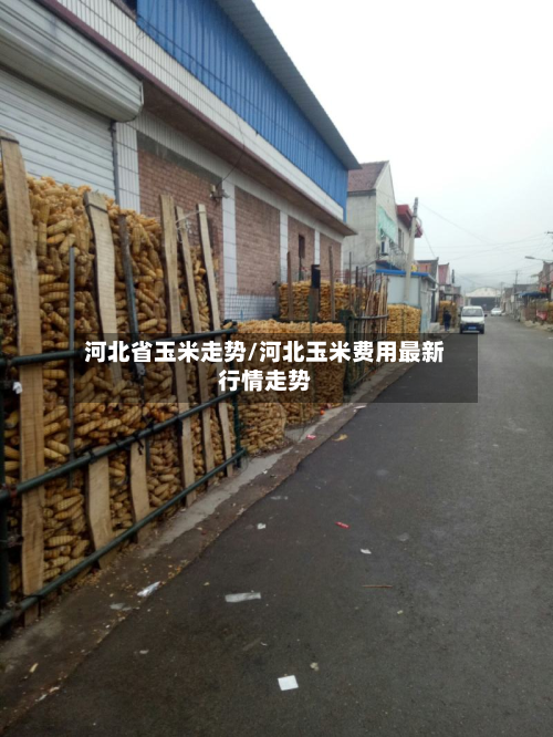 河北省玉米走势/河北玉米费用最新行情走势