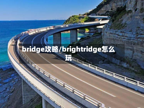 bridge攻略/brightridge怎么玩-第2张图片