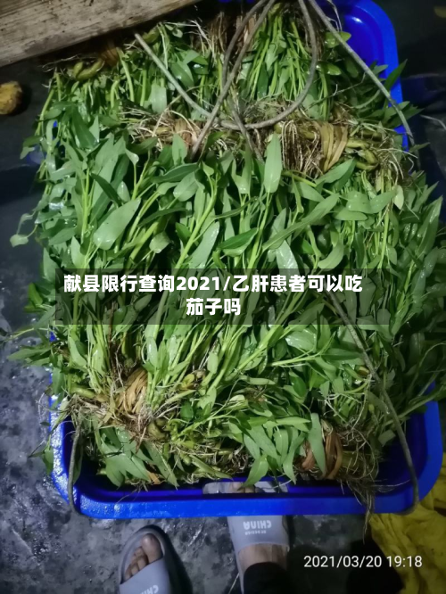 献县限行查询2021/乙肝患者可以吃茄子吗-第2张图片