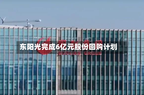 东阳光完成6亿元股份回购计划-第3张图片