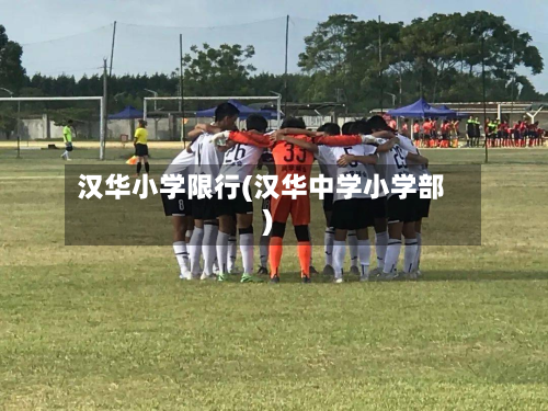 汉华小学限行(汉华中学小学部)