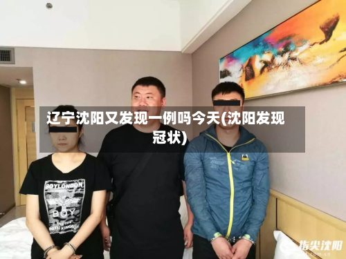 辽宁沈阳又发现一例吗今天(沈阳发现冠状)