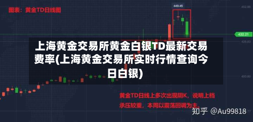 上海黄金交易所黄金白银TD最新交易费率(上海黄金交易所实时行情查询今日白银)