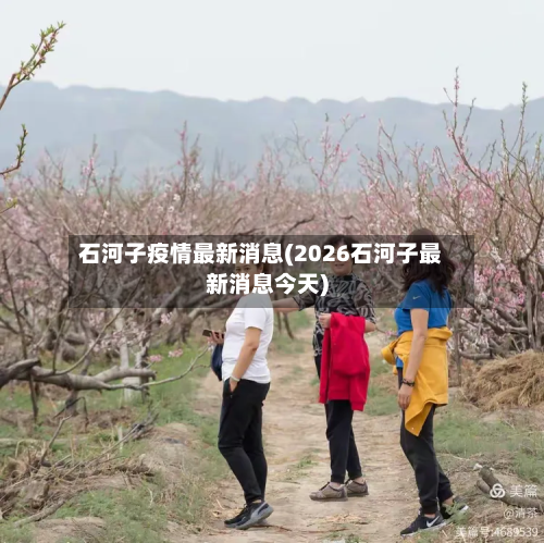 石河子疫情最新消息(2026石河子最新消息今天)