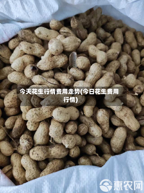 今天花生行情费用走势(今日花生费用行情)