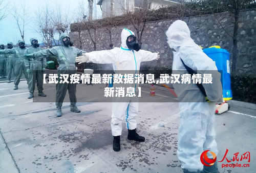 【武汉疫情最新数据消息,武汉病情最新消息】-第2张图片