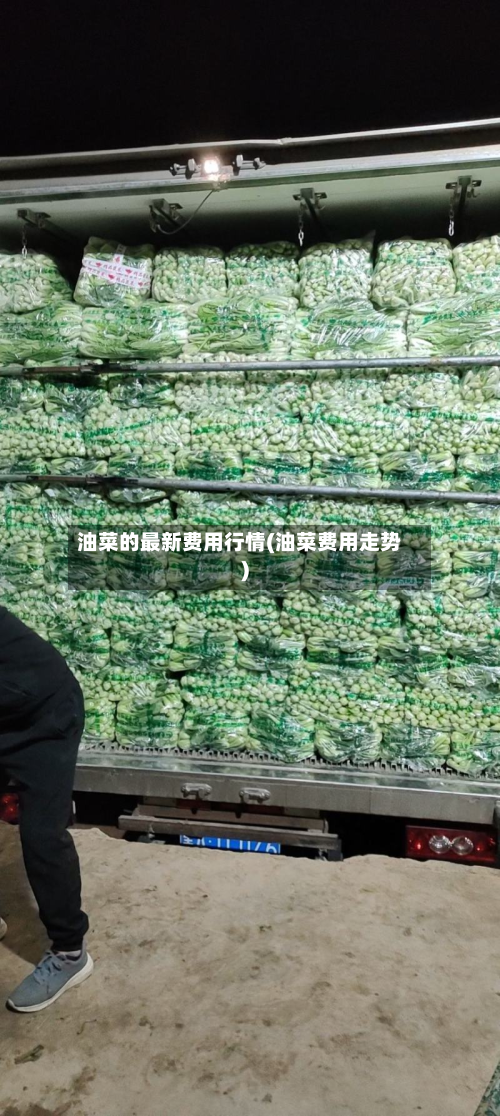 油菜的最新费用行情(油菜费用走势)