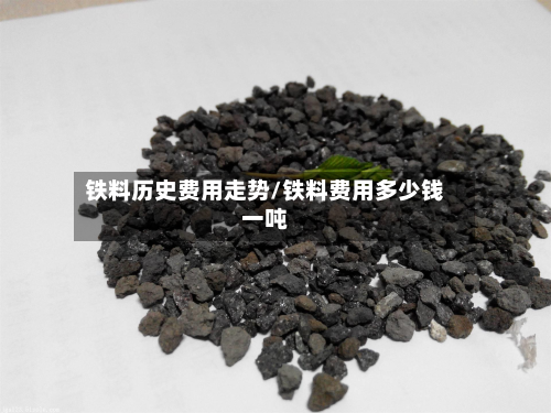 铁料历史费用走势/铁料费用多少钱一吨