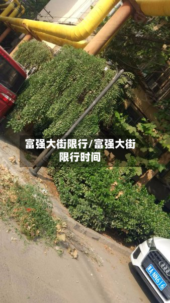 富强大街限行/富强大街限行时间-第2张图片
