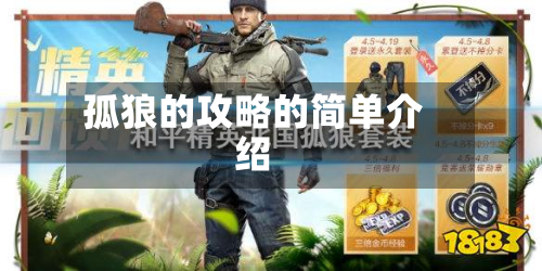 孤狼的攻略的简单介绍-第3张图片