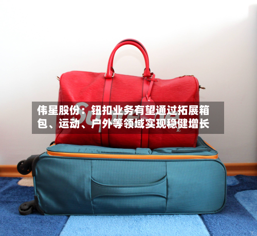伟星股份：钮扣业务有望通过拓展箱包	、运动、户外等领域实现稳健增长-第3张图片