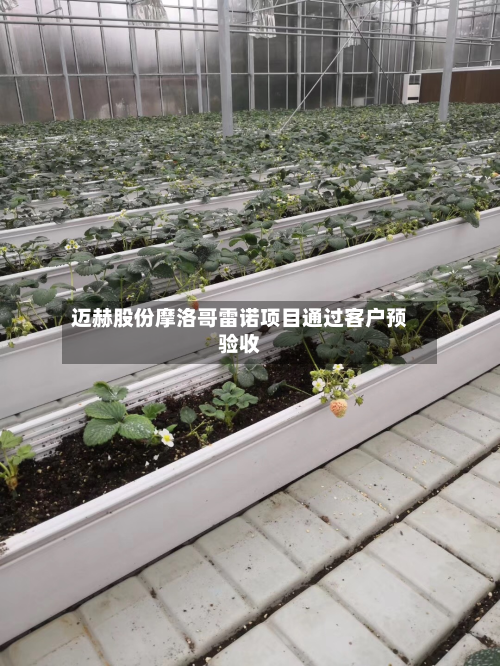 迈赫股份摩洛哥雷诺项目通过客户预验收
