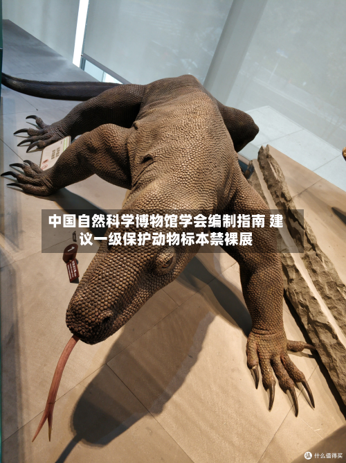 中国自然科学博物馆学会编制指南 建议一级保护动物标本禁裸展-第2张图片