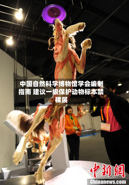 中国自然科学博物馆学会编制指南 建议一级保护动物标本禁裸展