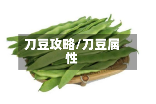 刀豆攻略/刀豆属性-第2张图片