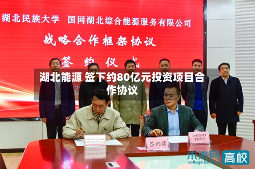 湖北能源 签下约80亿元投资项目合作协议-第3张图片