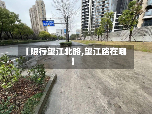 【限行望江北路,望江路在哪】