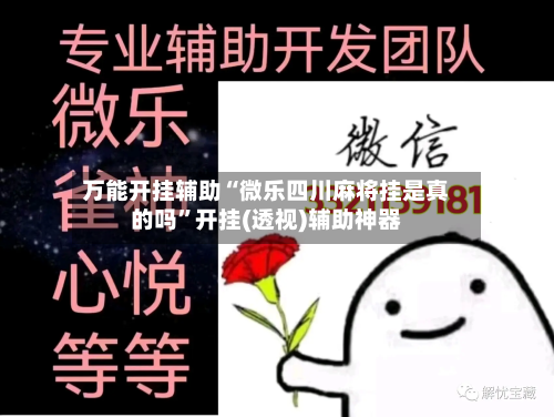 万能开挂辅助“微乐四川麻将挂是真的吗”开挂(透视)辅助神器-第3张图片