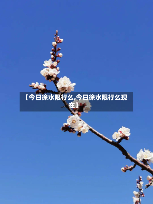 【今日徐水限行么,今日徐水限行么现在】-第2张图片